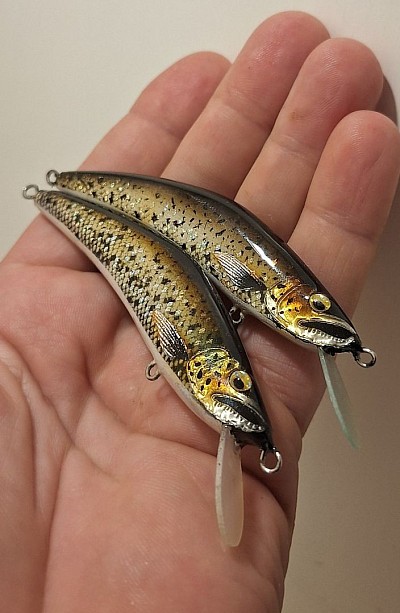 Panic80 mediterranean trout euro 18